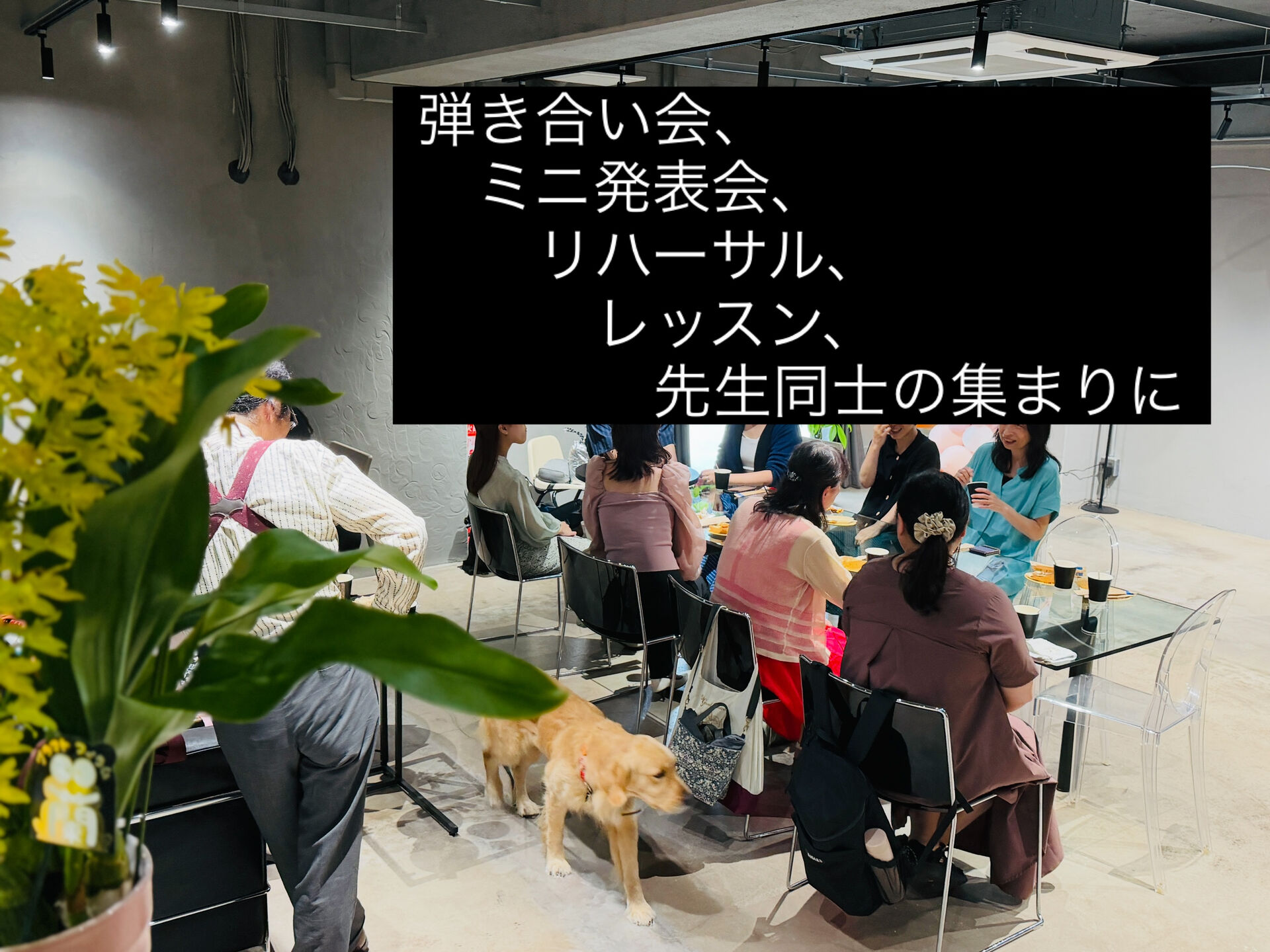 音でつながる、平日のひととき